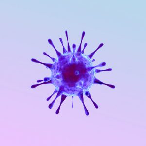 Papilloma virus