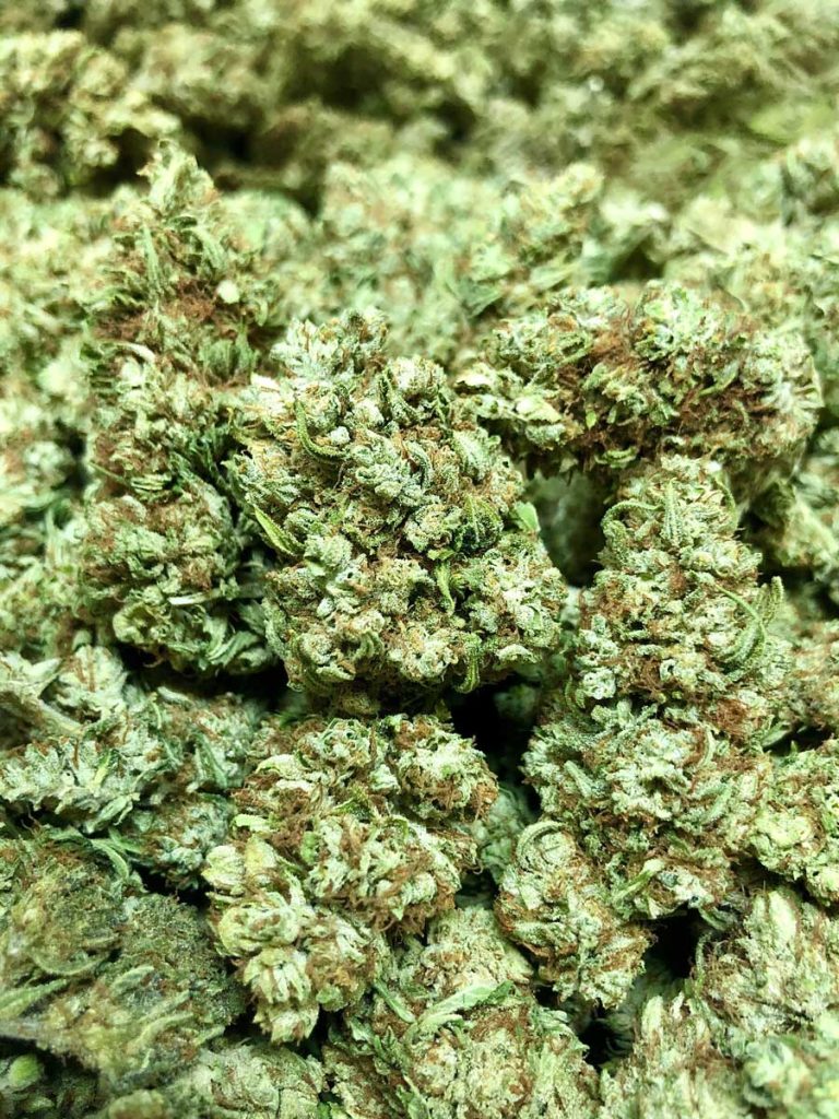 Cannabis Weed